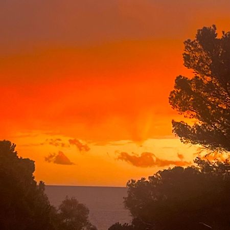 Maison Classee Sur Le Golfe De St Tropez Saint Tropez Bagian luar foto