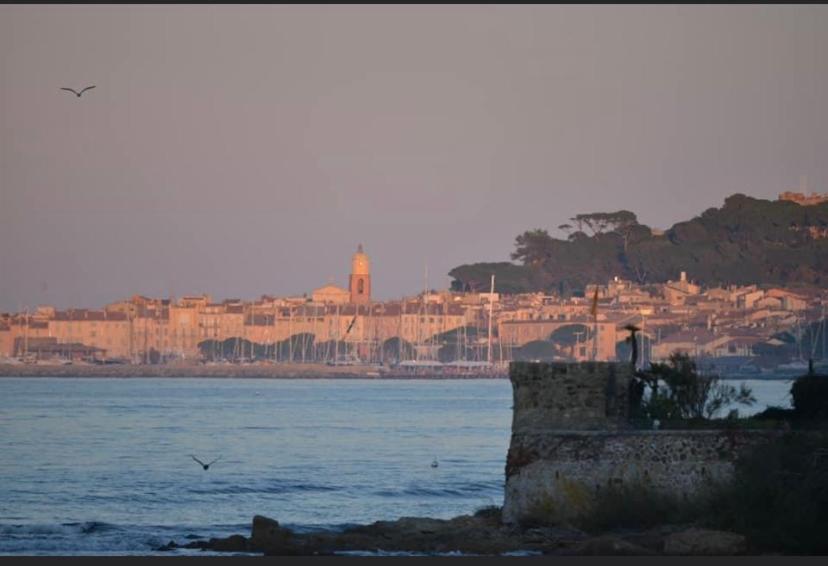 Maison Classee Sur Le Golfe De St Tropez Saint Tropez Bagian luar foto
